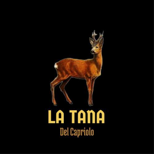 Ferienwohnung La Tana Del Capriolo Prati di Tivo Exterior foto